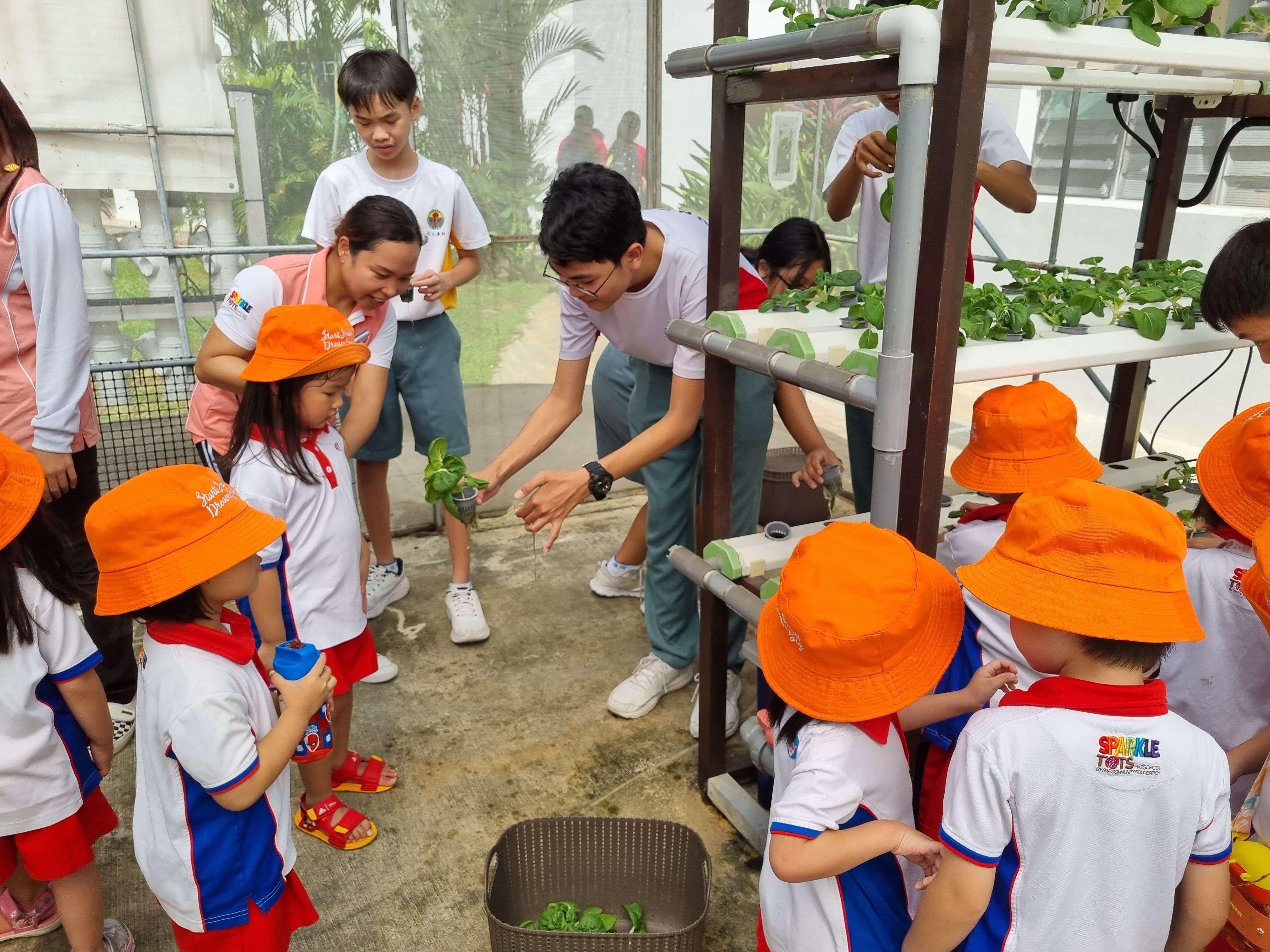 Interact Club members at an urban farming activity, inspiring community involvement