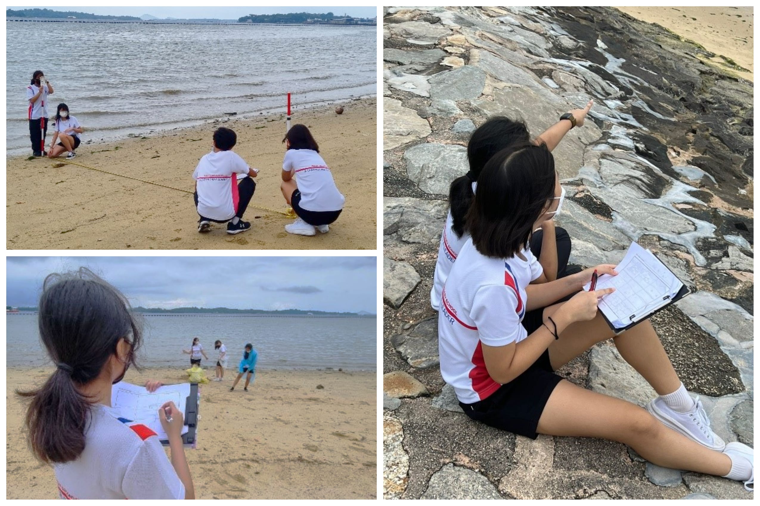 Students in white uniforms conduct fieldwork on a sandy beach and rocky shore, taking notes and measurements.