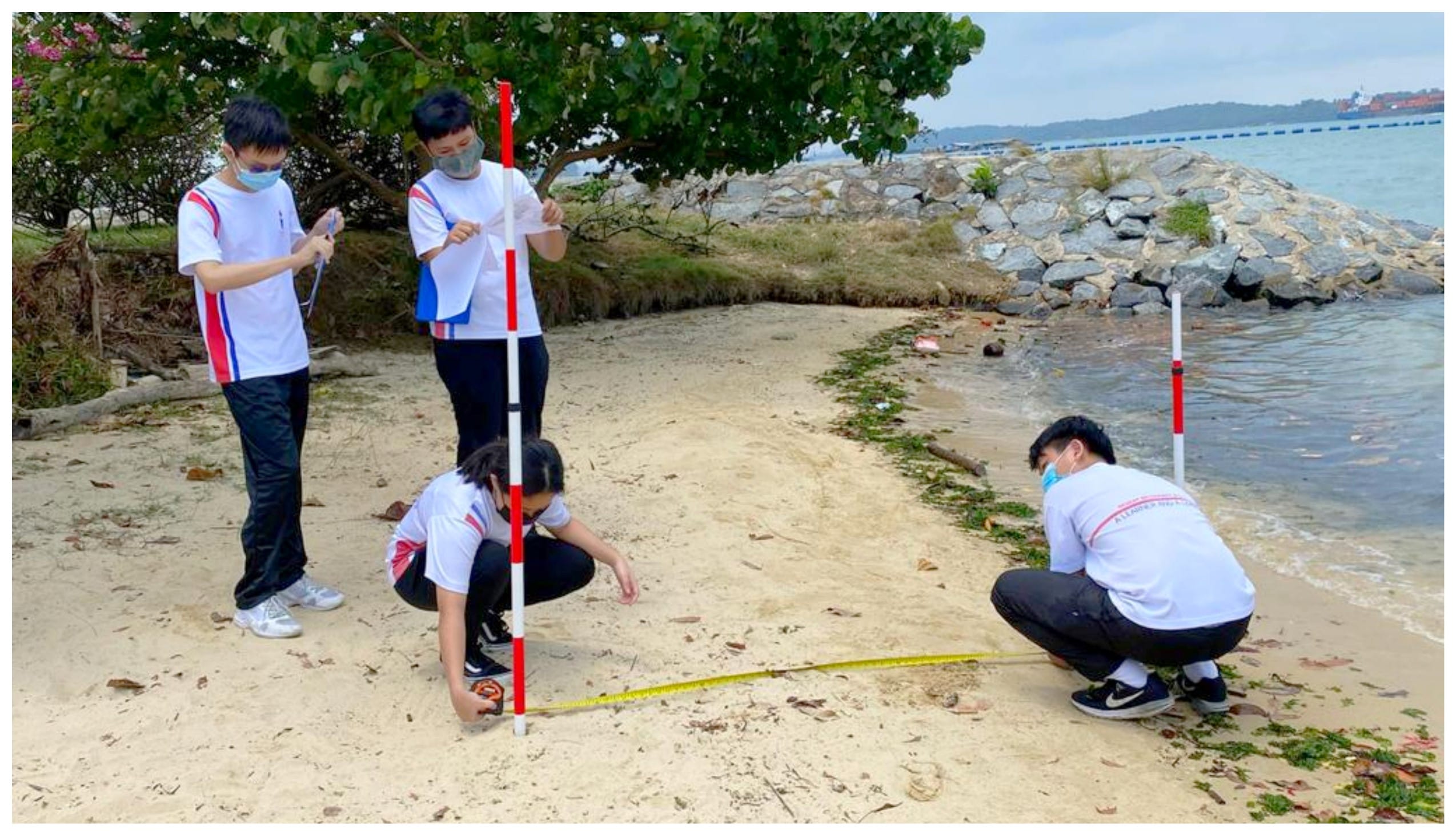 Four masked students in white uniforms measuring a sandy beach with a tape measure and survey poles near the water.