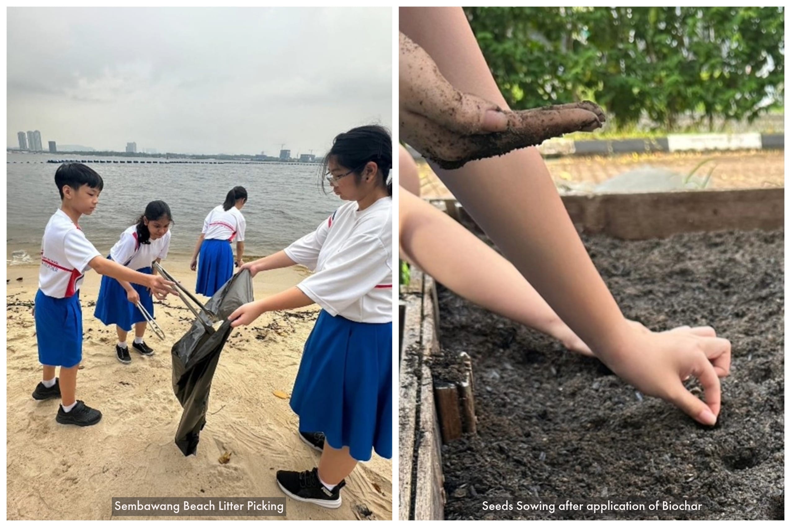 Students in uniforms collect litter in a bag on a beach; close-up of hands pressing seeds into dark soil.