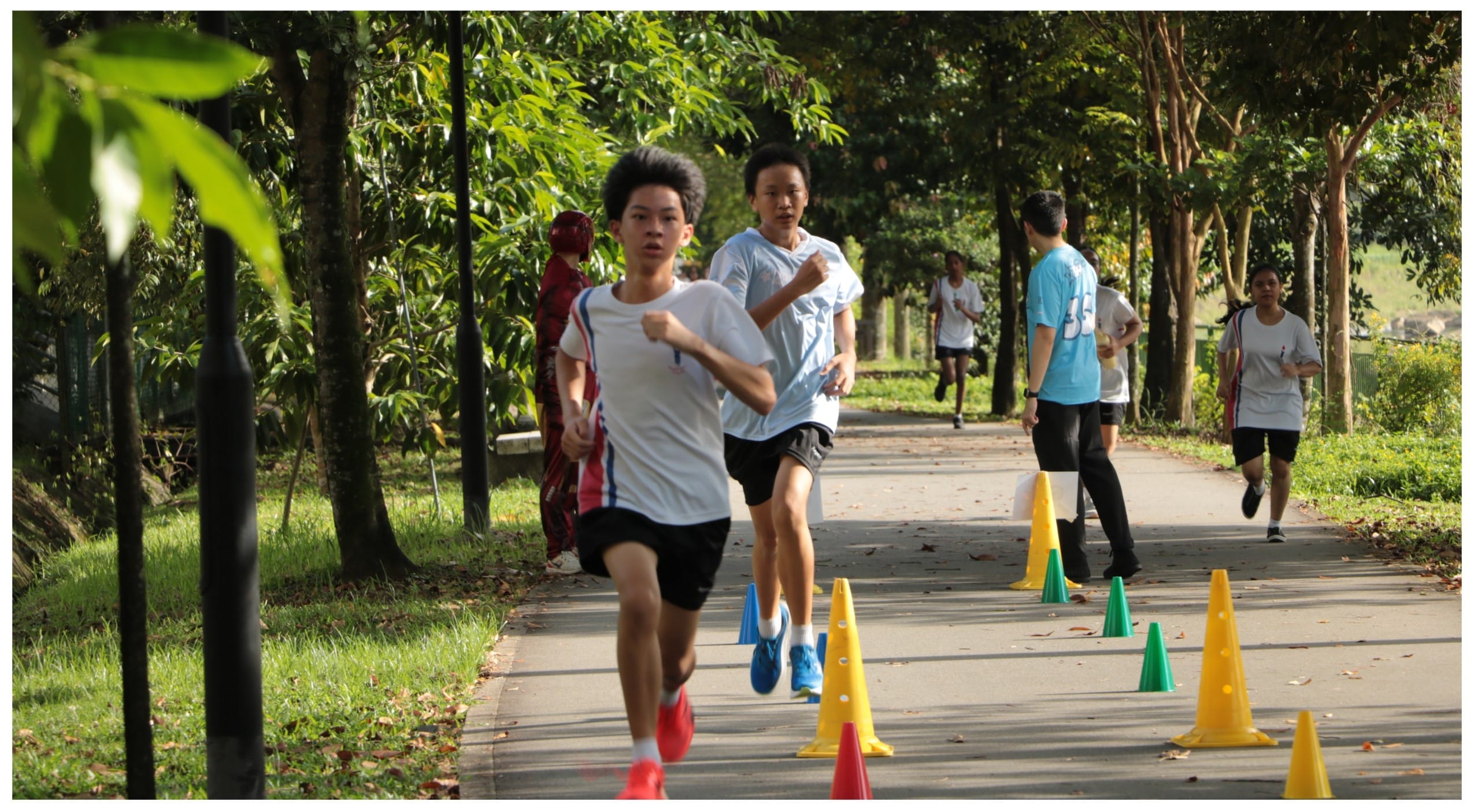 Several young students running on a tree-lined path marked with colorful yellow, green, and blue cones.