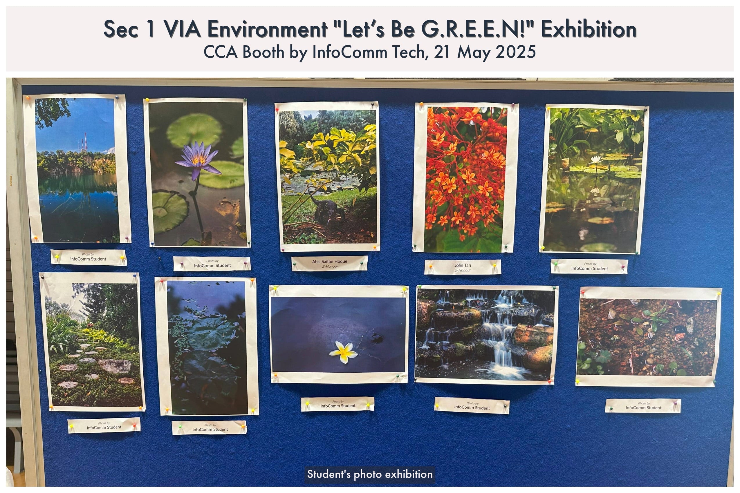 A blue display board with ten nature photos pinned to it, titled Sec 1 VIA Environment Let's Be G.R.E.E.N! Exhibition.