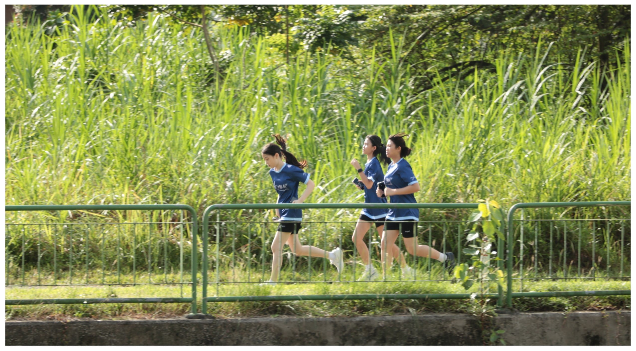 Three women in blue shirts and black shorts jogging along a green railing path with tall grass behind them.
