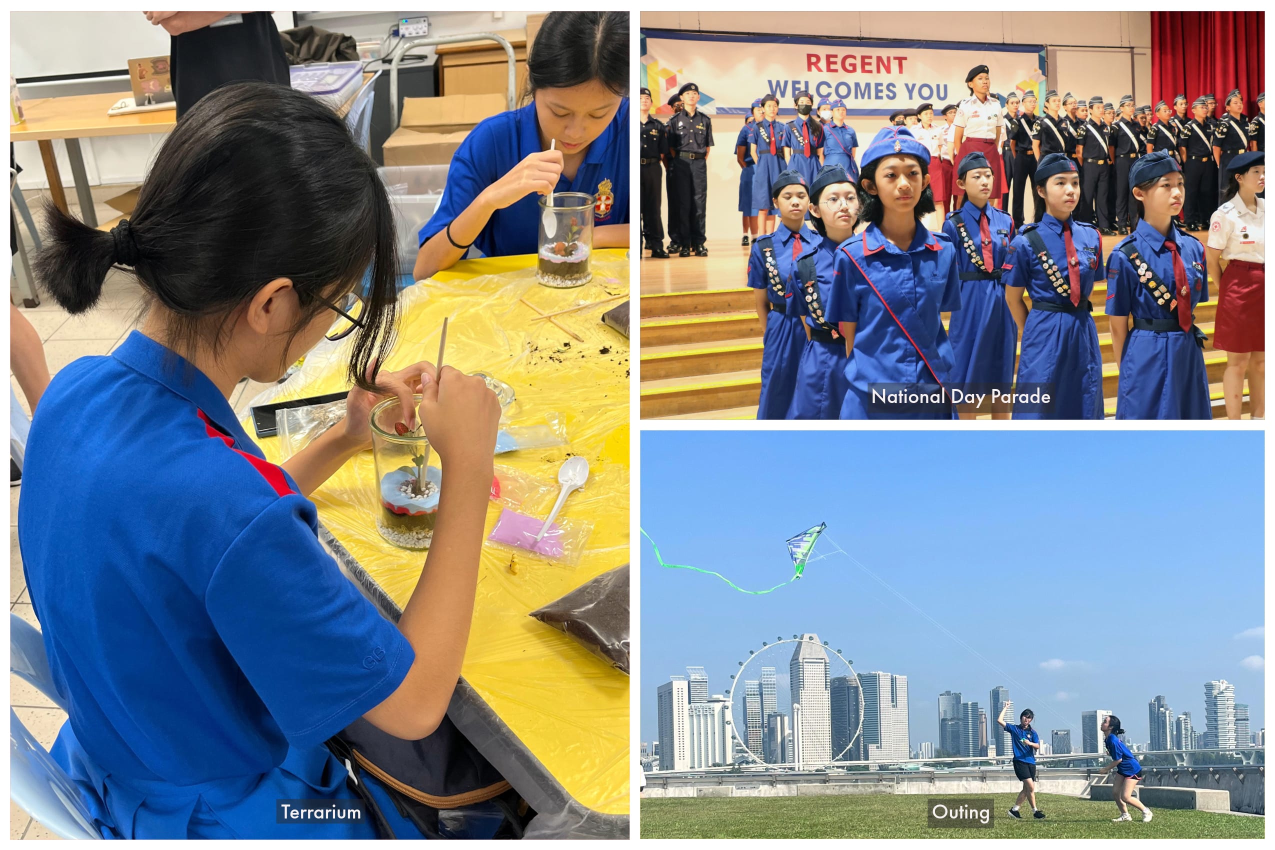 Collage: students build terrariums, cadets in blue uniforms on stage, and kids flying a kite by skyline.