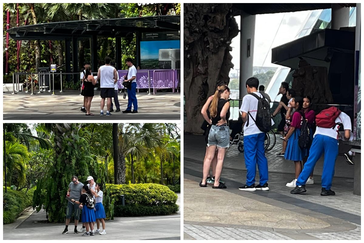 Three outdoor scenes showing groups of people standing and talking near tropical gardens and a modern building entrance.