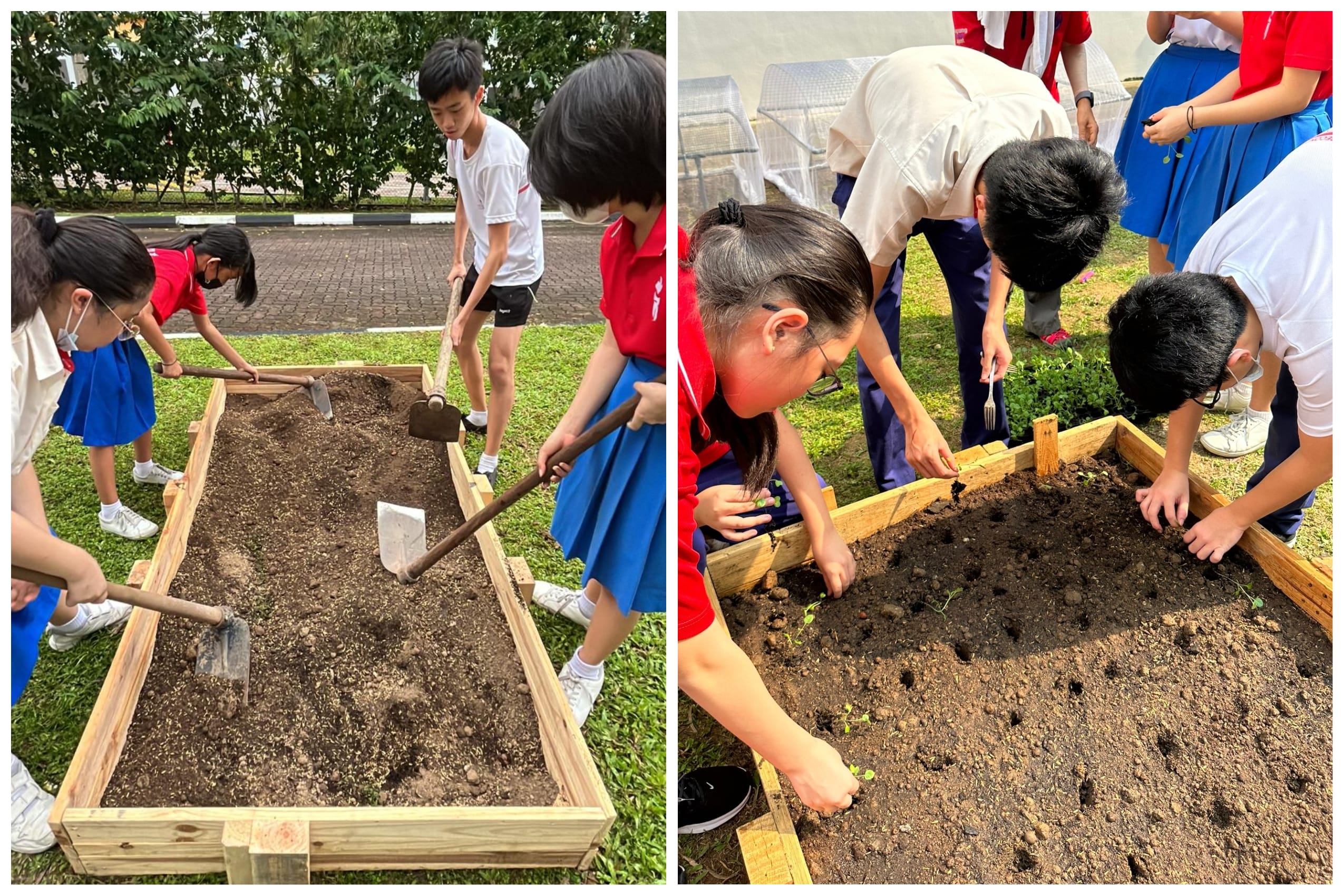 Students in school uniforms shovel and plant seedlings in a raised wooden garden bed outdoors.