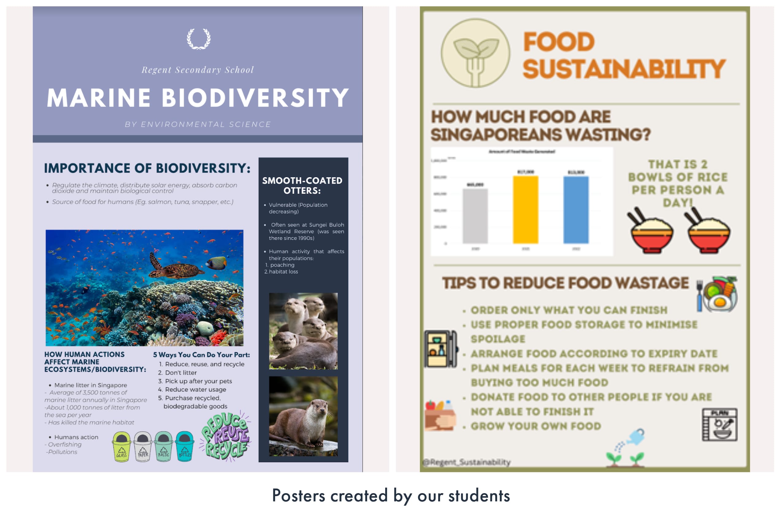 Two student-made posters on marine biodiversity and food sustainability, with tips, facts, and colorful illustrations.