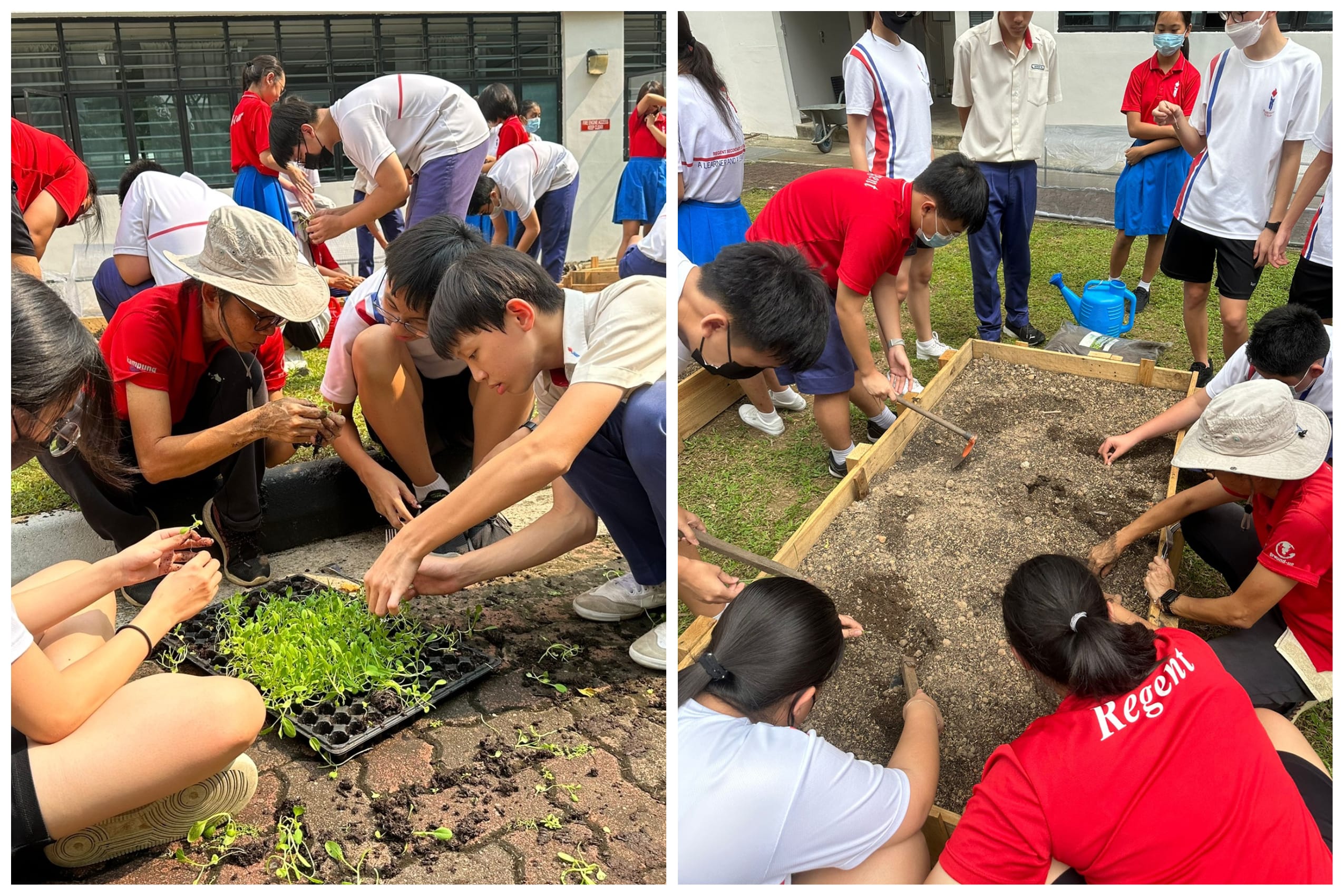 Students and an adult plant seedlings and dig soil in raised garden beds outdoors near a school building.
