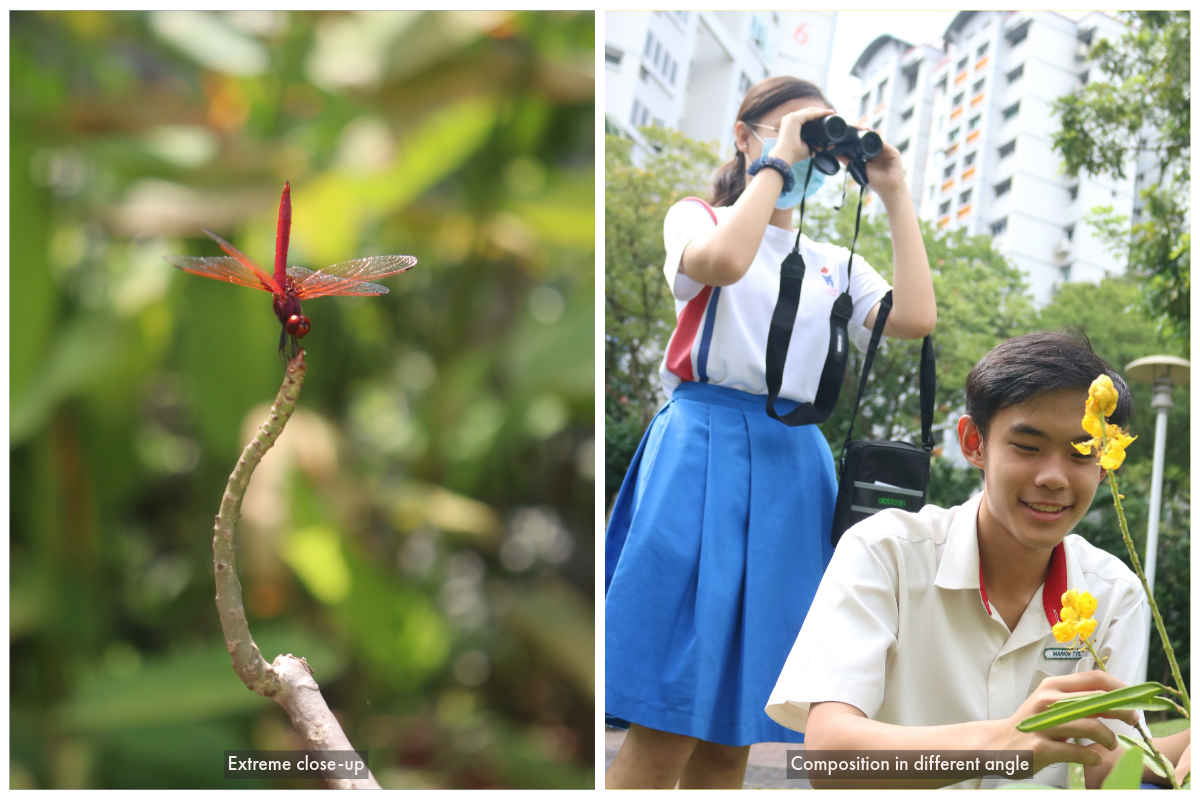 Red dragonfly perched on a twig beside two students in uniform, one using binoculars and one holding a yellow flower.