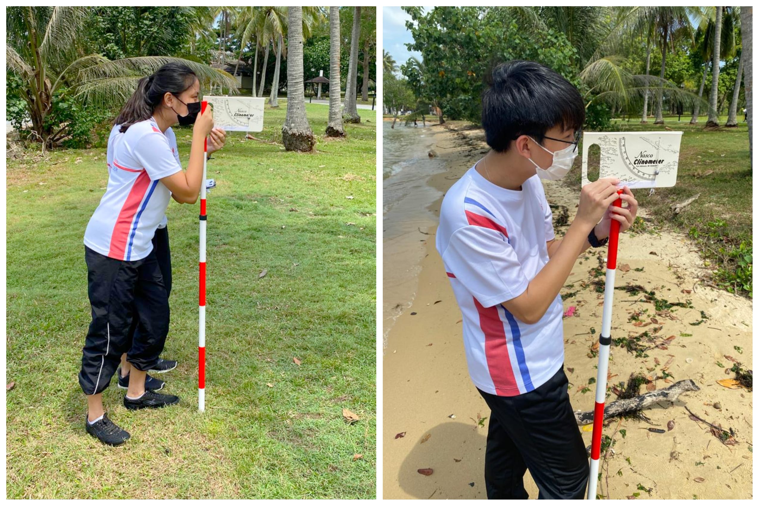 Two masked students in sports shirts use a surveying rod on grass and on a beach under palm trees.
