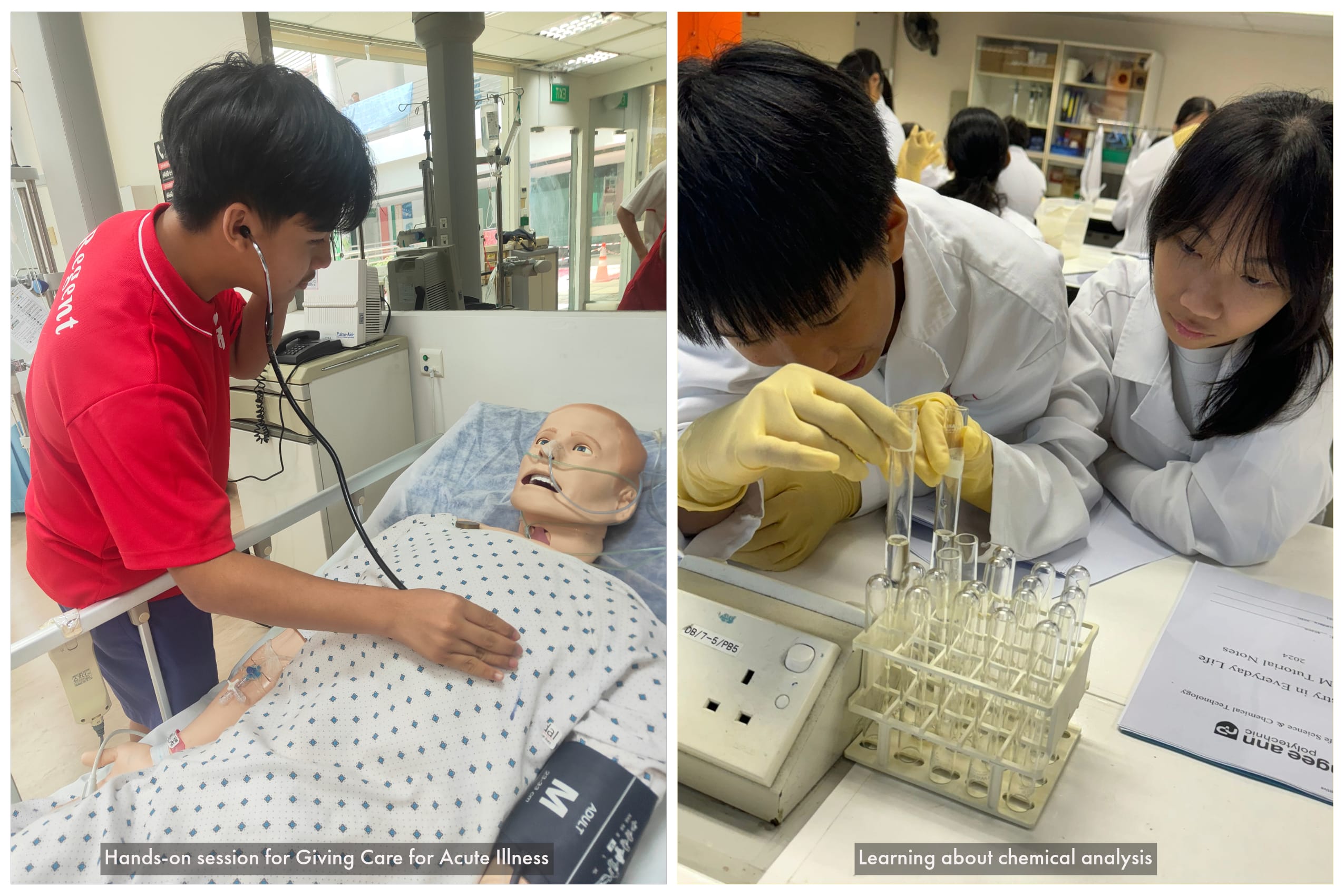 Student uses stethoscope on a medical mannequin; two students in lab coats handle test tubes during chemical analysis.