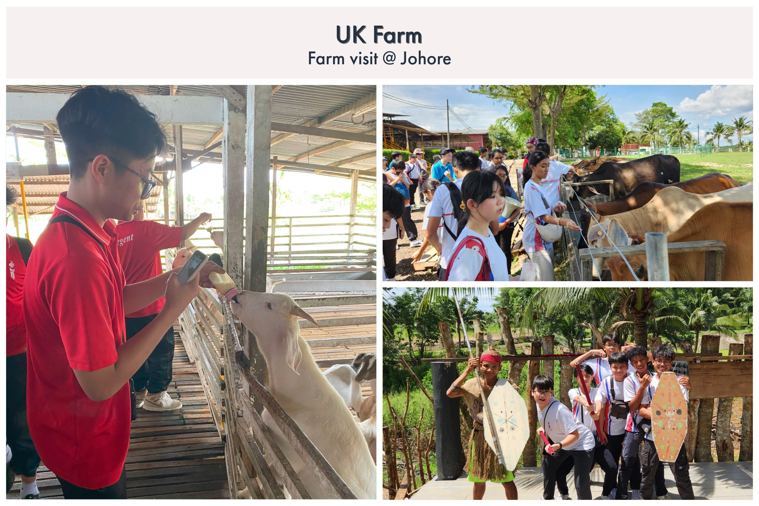 UK Farm