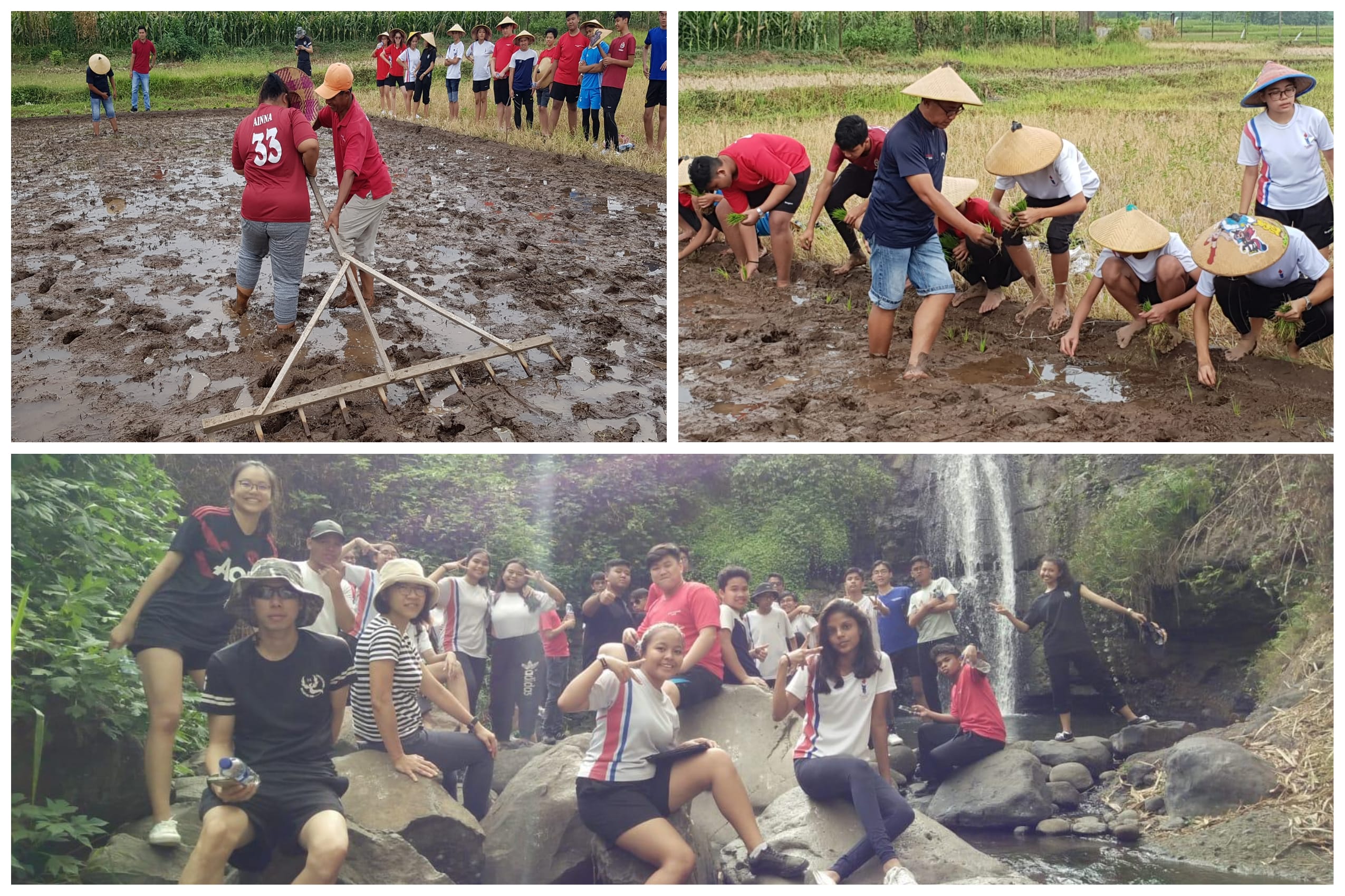Collage of people working in muddy rice fields and posing on rocks by a waterfall.