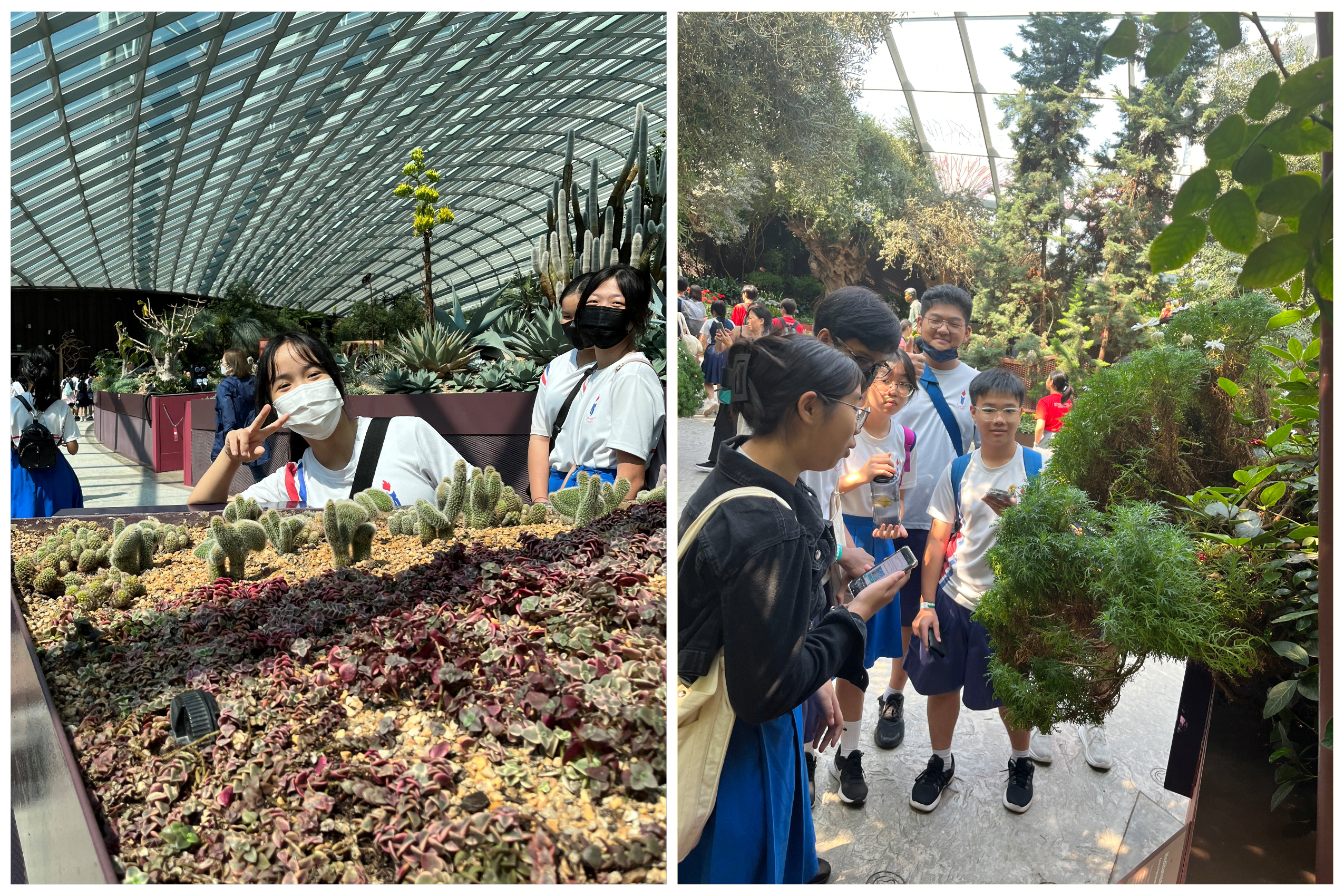 Students in masks tour a glass-roofed garden, posing by cacti and gathering around plants.