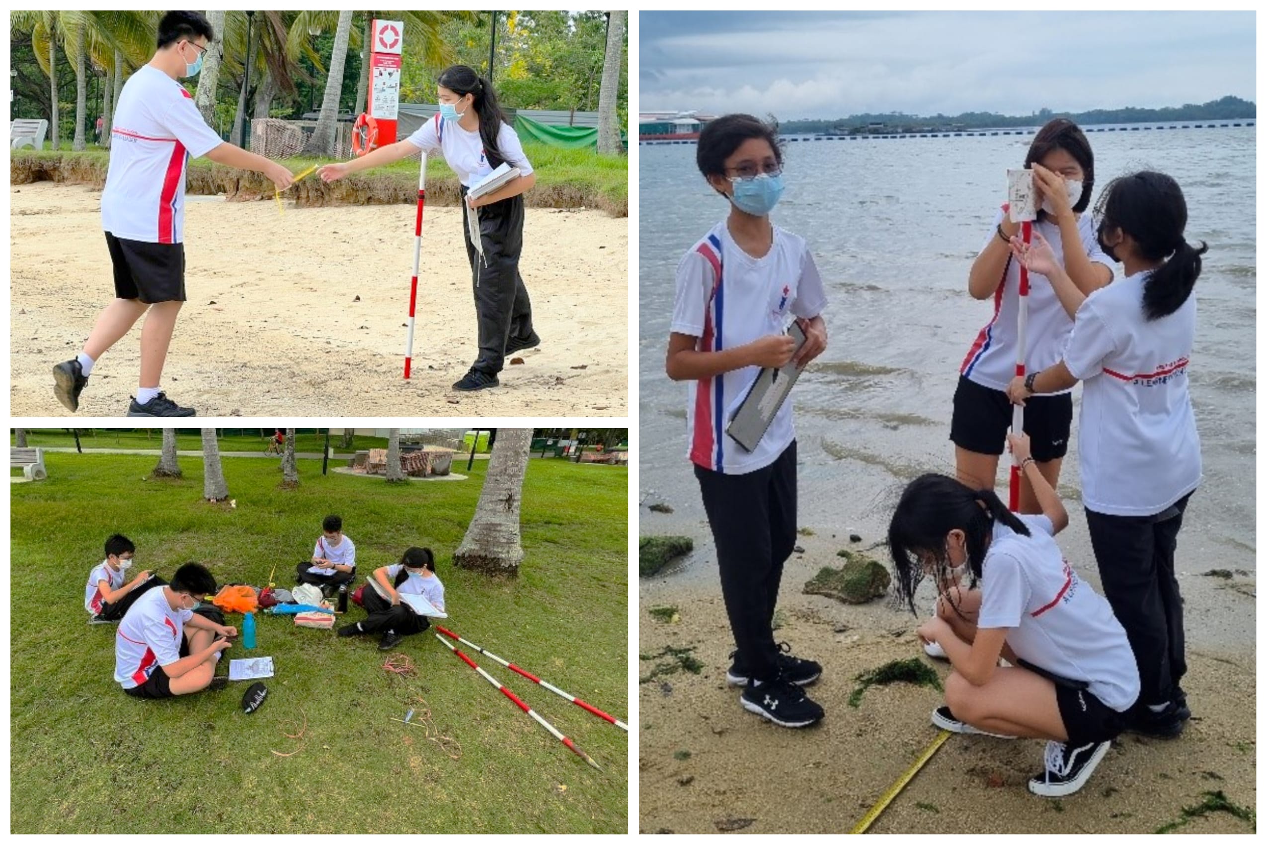 Students in white uniforms and masks conduct outdoor fieldwork on a beach and grassy area using measuring poles.
