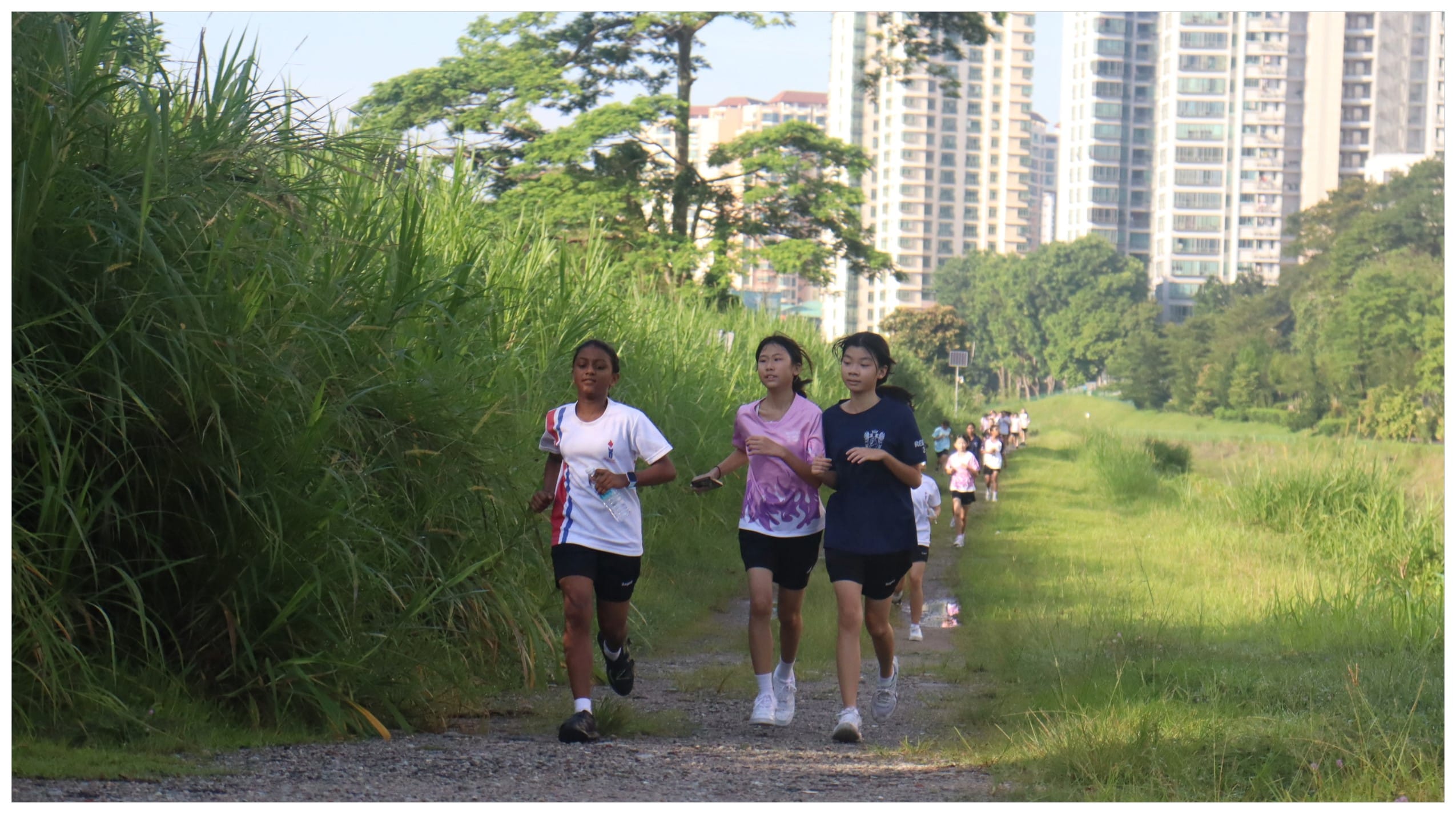 Three girls run along a grassy trail bordered by tall reeds, with trees and tall buildings visible in the background.