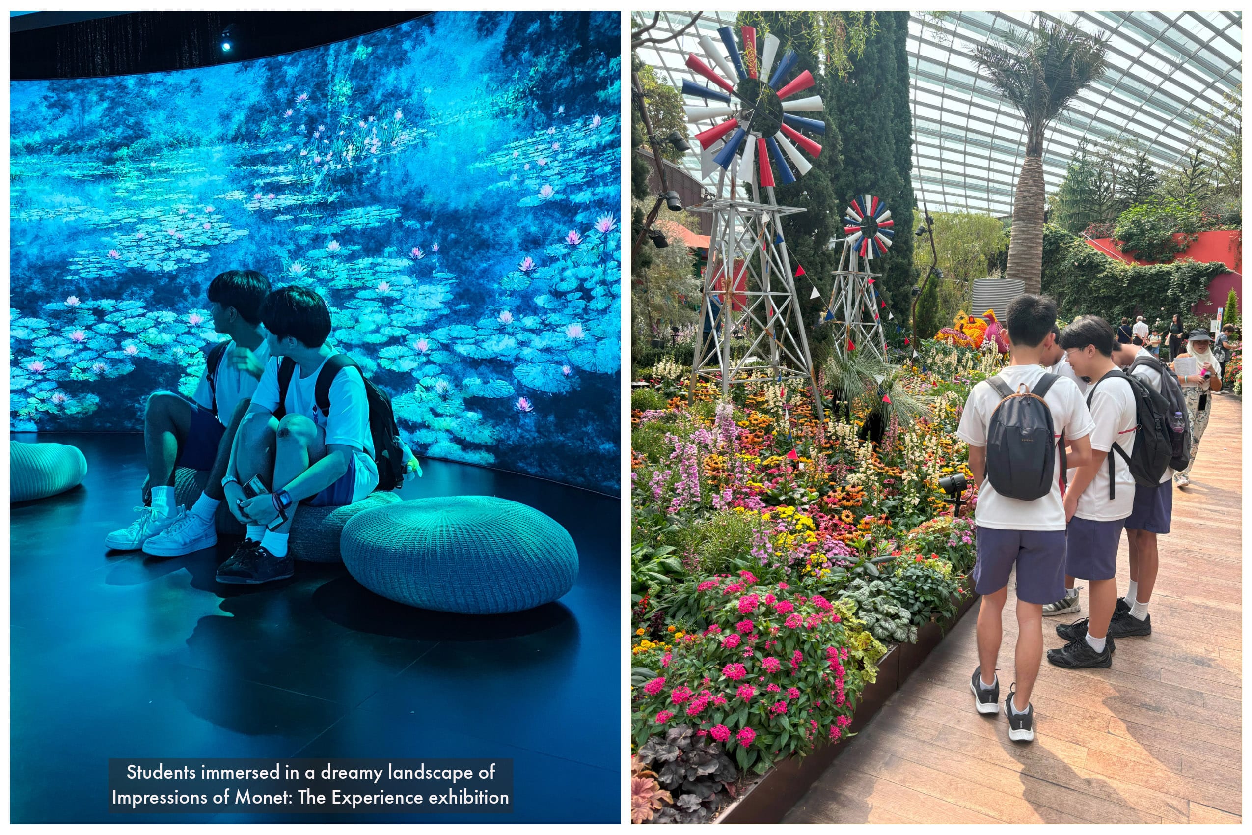Two scenes: students sitting before a Monet digital display, and students viewing colorful flowers near a windmill indoors.