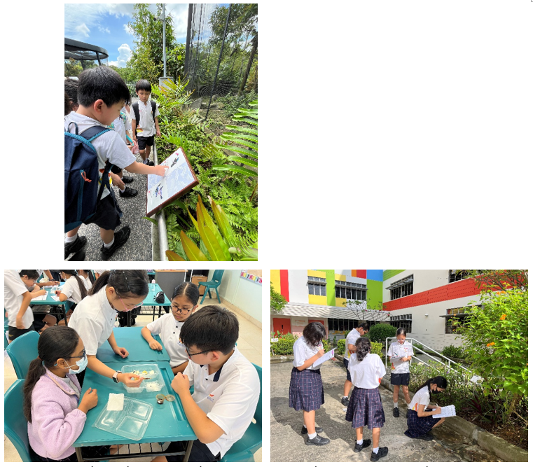 SDPS students doing outdoor nature observations and indoor group work at tables.