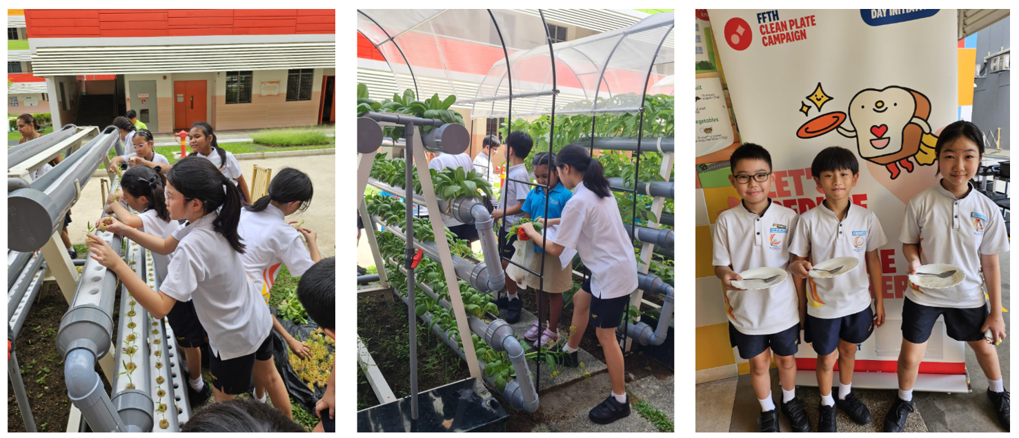 SDPS students tending to hydroponic plants outdoors and holding clean plates beside a campaign banner.