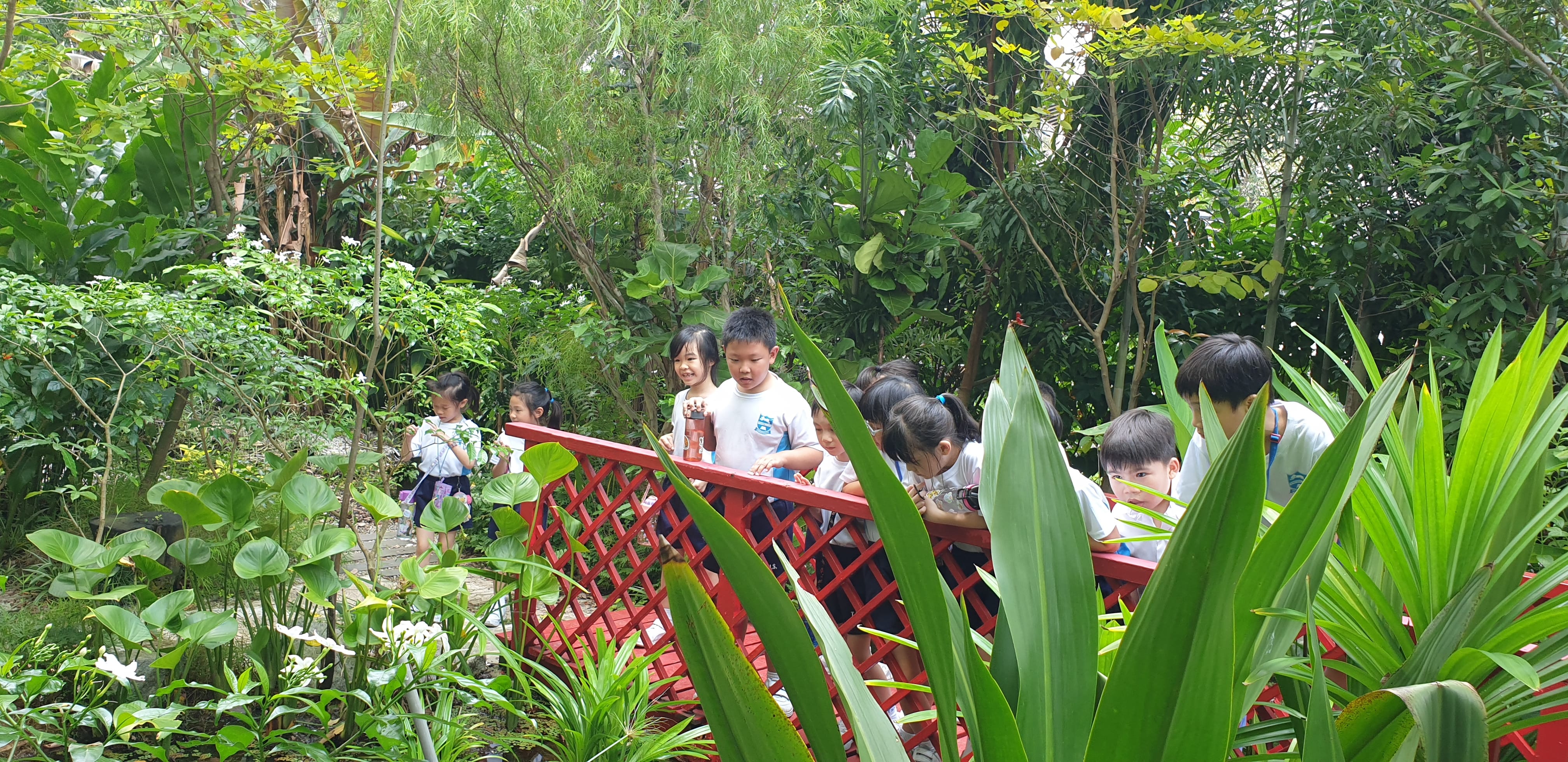Children in white shirts stand on a red wooden bridge in a dense green garden.