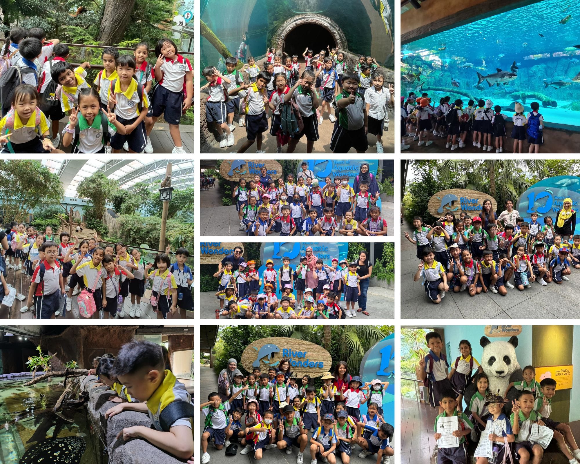 A collage of young students in uniforms on a school field trip to River Wonders aquarium and wildlife park.