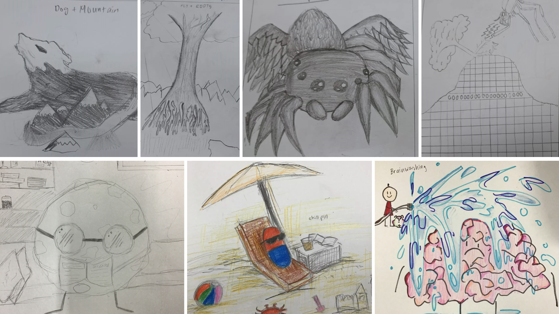 Seven student pencil and crayon drawings showing hybrid concepts like dog-mountain, fly-roots, spider, chill pill, and brainwashing.