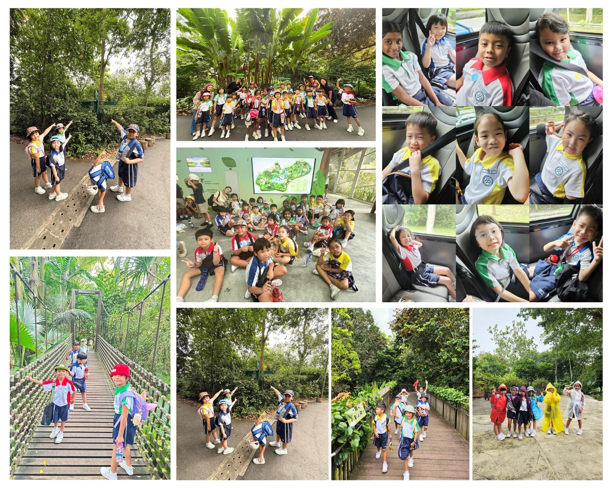 Collage of young schoolchildren on a nature field trip, posing on trails, bridges, and inside cars.