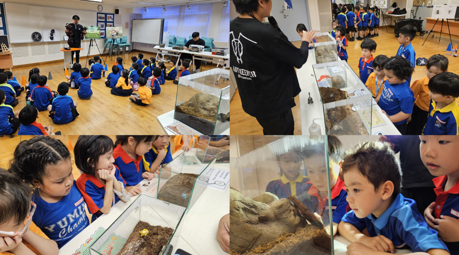 Students attending an ant-themed in-school experience, viewing glass terrariums with soil and ant colonies.