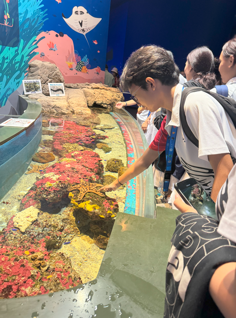 A boy reaches into a touch tank at an aquarium to touch a starfish among colorful coral and rocks.