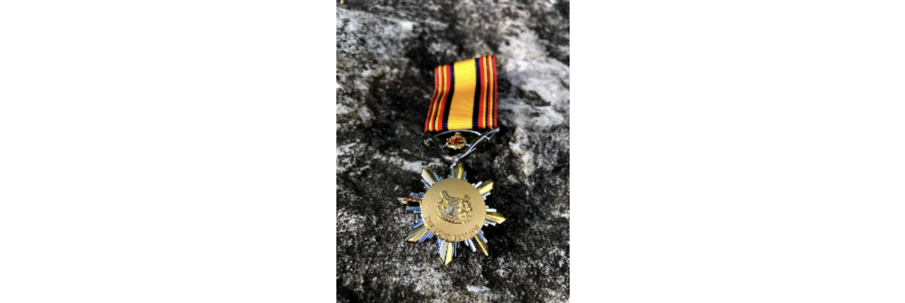 A gold and silver star-shaped medal with a yellow, red, and black striped ribbon resting on a rock surface.