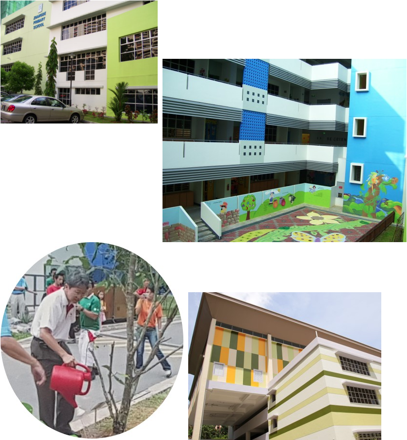Four photos showing school buildings with colorful facades and a man watering a young tree with a red watering can.