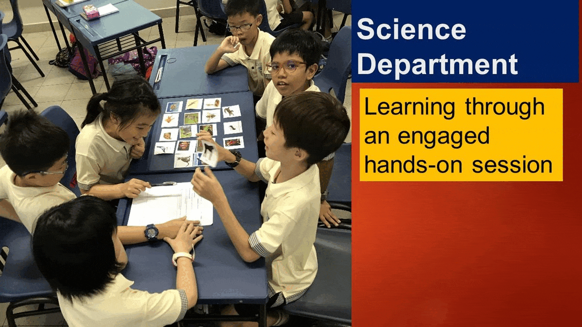 Five students in uniform sit around a blue table sorting animal picture cards during a Science Department hands-on session.