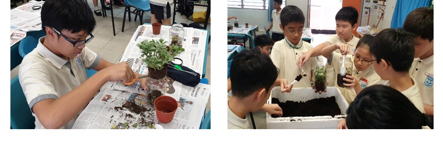 Two photos of young students doing a plant activity, handling soil and small plants on newspaper-covered tables.