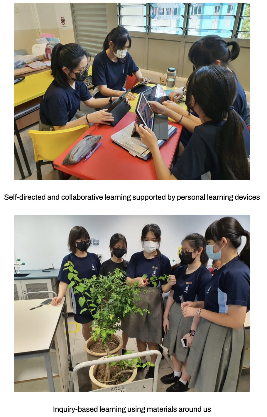 Our students using tablets during an activity conducted in a lesson, and a group of students examining a potted plant as a form of inquiry-based learning in a classroom.