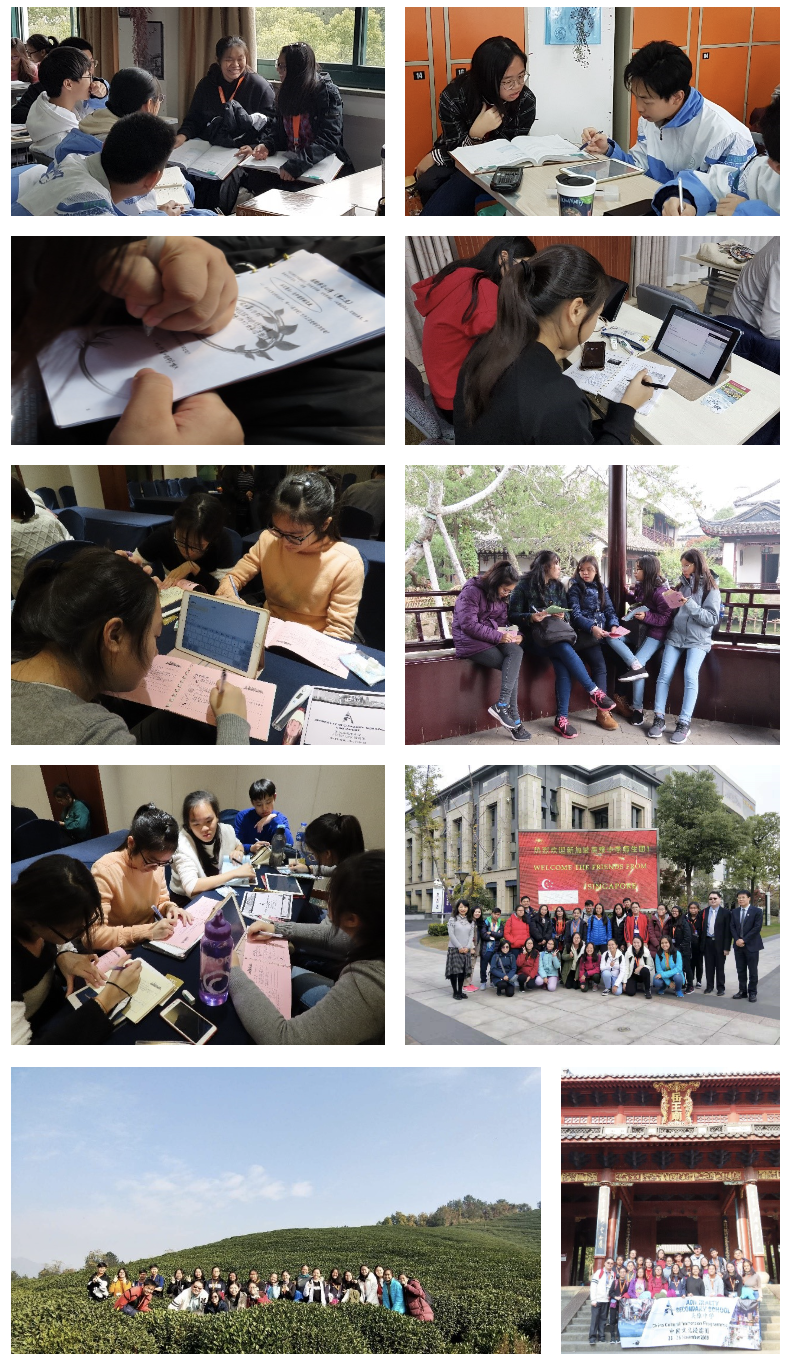 A collage of our students studying, collaborating, and posing for group photos during an overseas immersion trip.