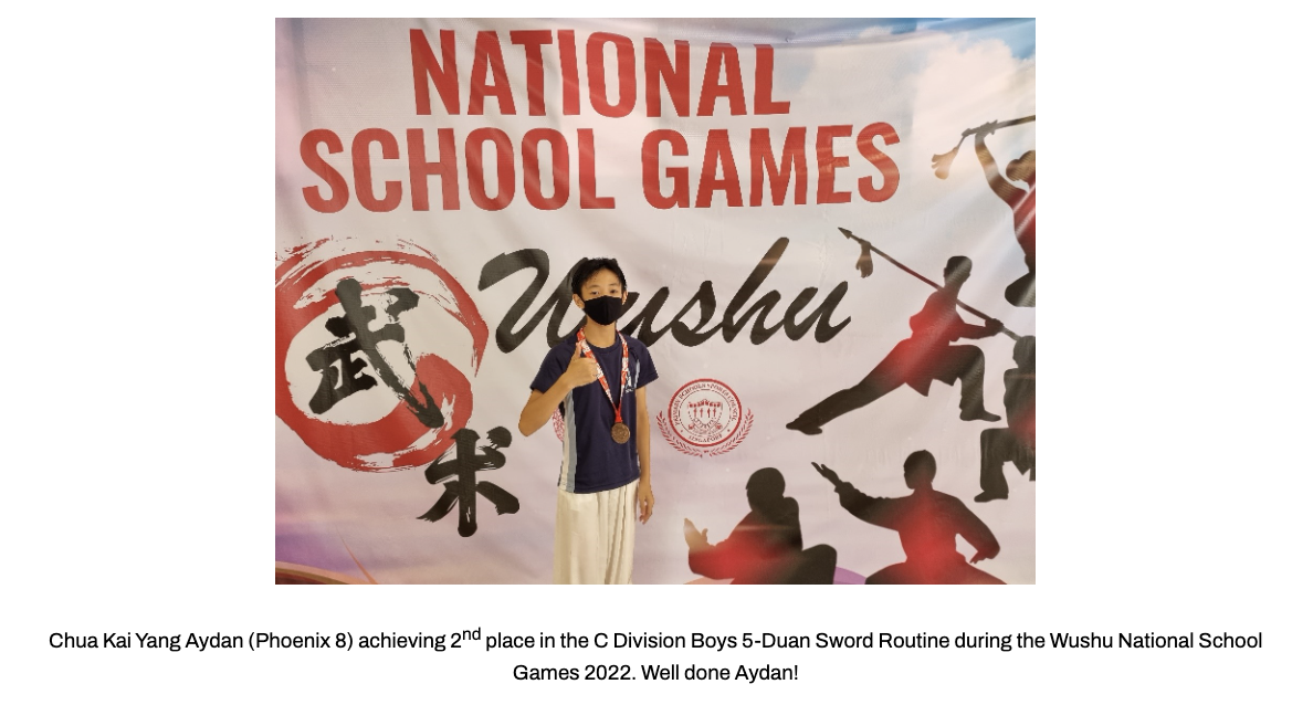 Boy wearing a bronze medal stands before a National School Games Wushu banner.