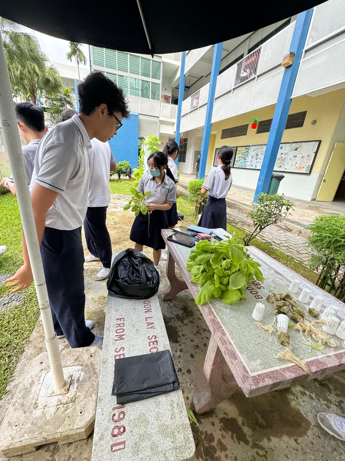 Students in school uniforms examine leafy plants on a stone table in a courtyard outside classrooms.
