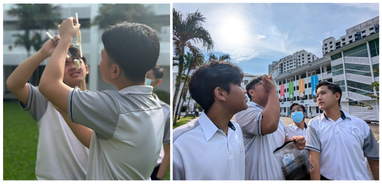 Students in white uniforms examine a small object outdoors near a building with palm trees under a bright sky.