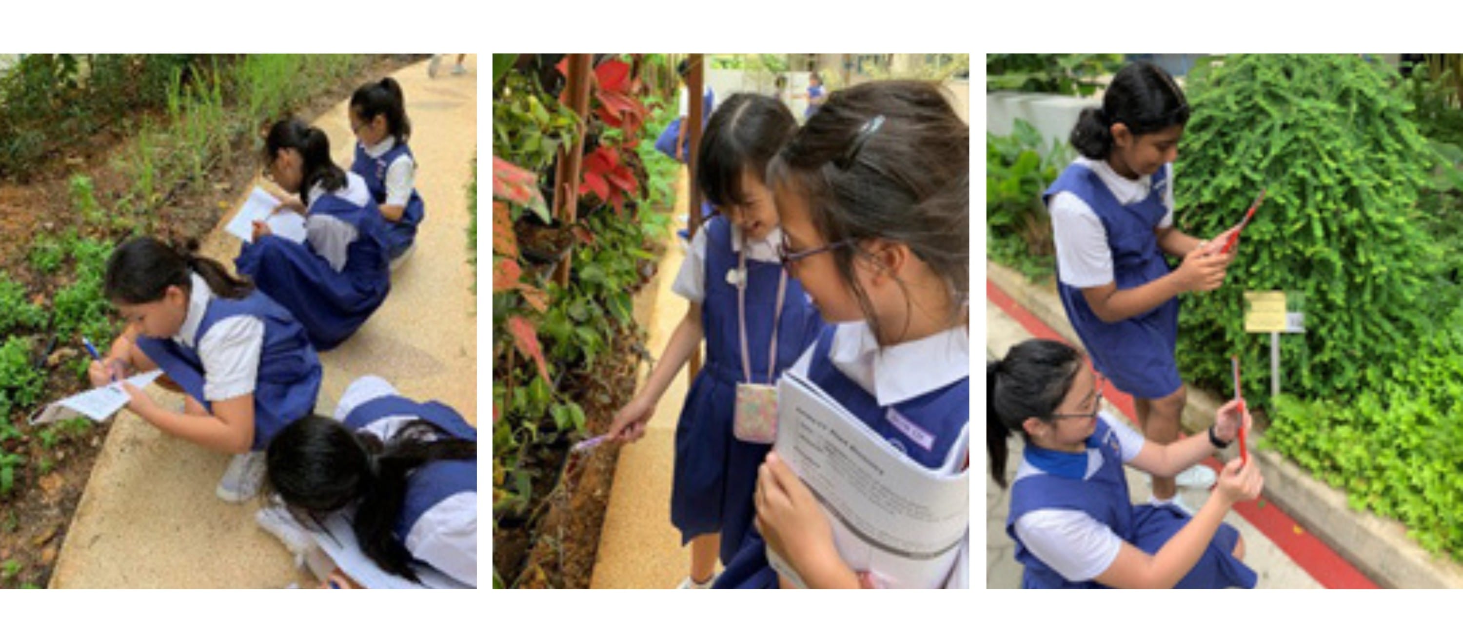 Outdoor Learning Experience