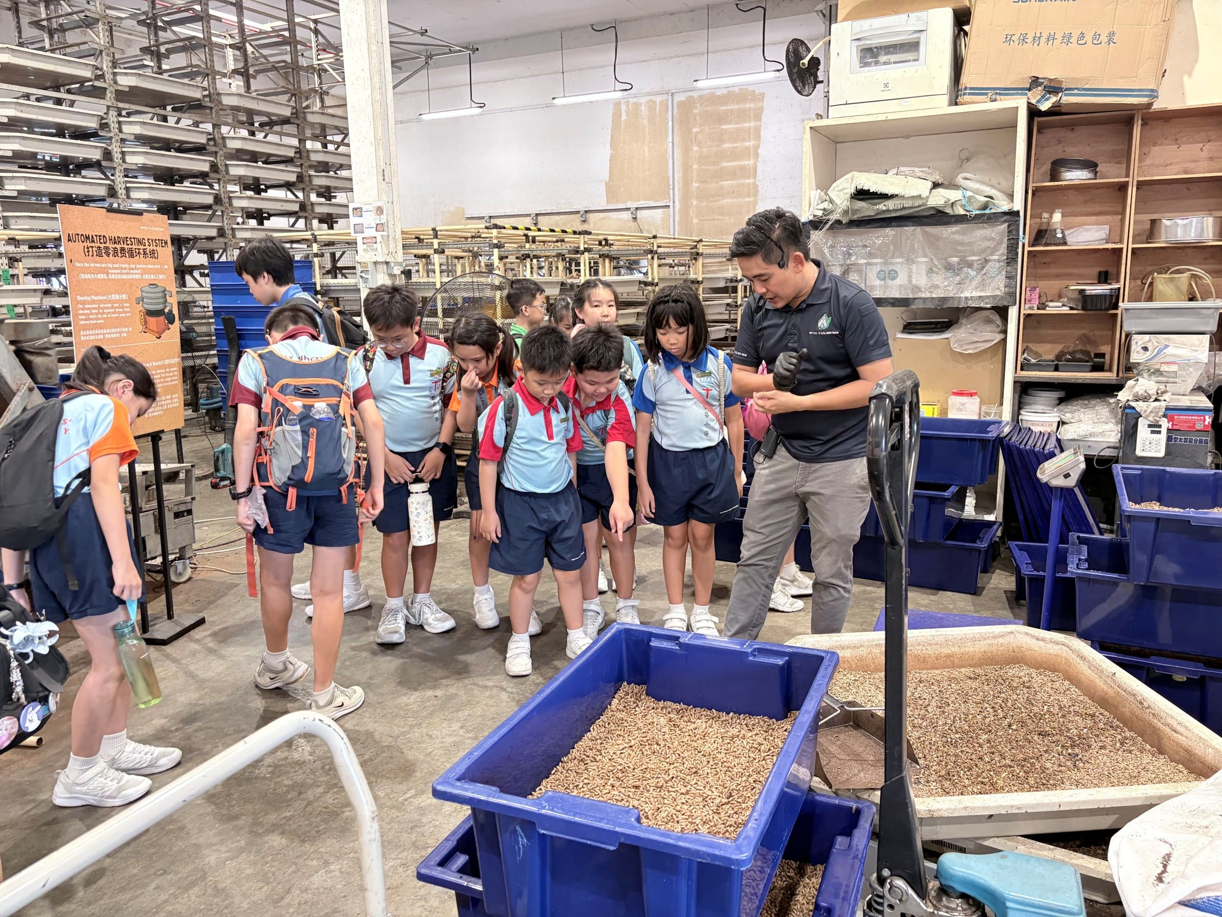 Students on a learning journey to the Black Soldier Fly facility, discovering how these insects help turn food waste into resources.