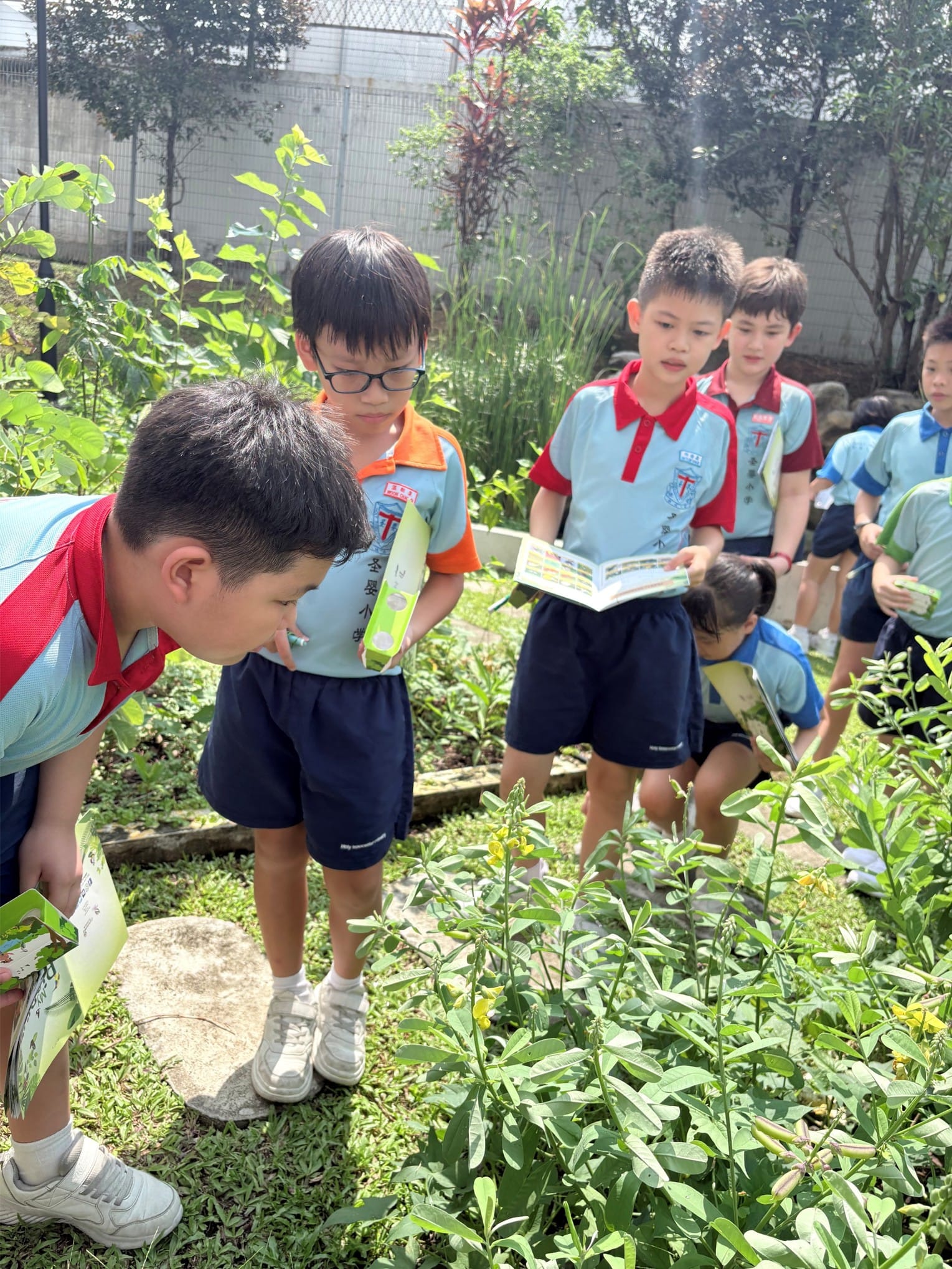 Students getting hands-on with biodiversity, surveying local plant and animal life during BioBlitz organised by National Parks Board.