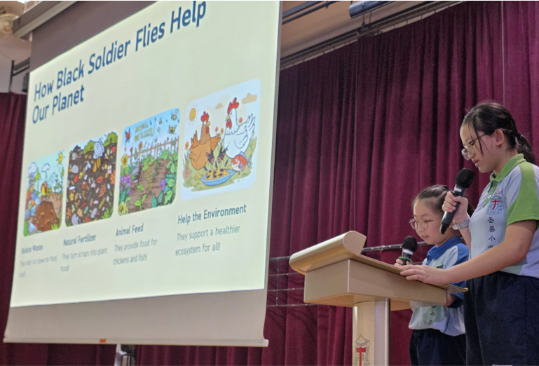 Our Environment Ambassadors encouraging sustainable habits during an assembly presentation.