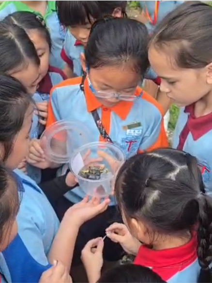Students discover the fascinating life cycle of butterflies and the wonders of nature.