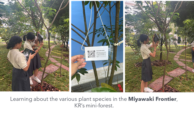 Students identifying plants in Miyawaki Frontier