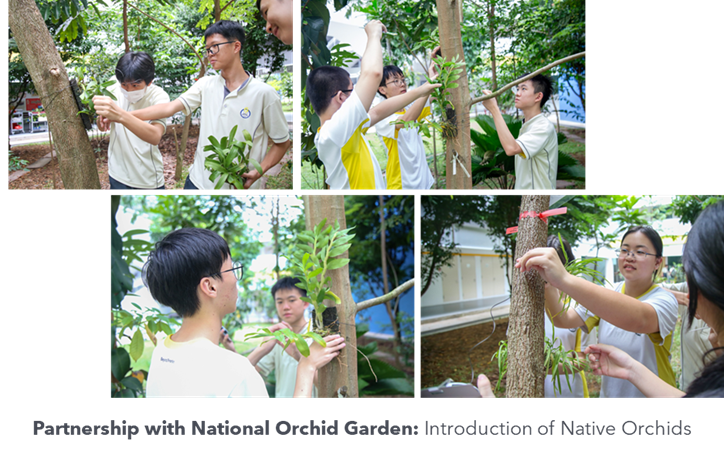 Students learning about native orchids