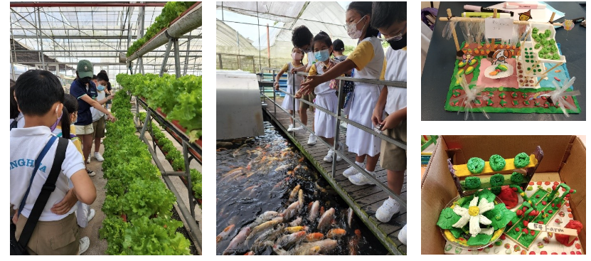 Students visit a hydroponic farm and koi pond, alongside colorful handmade farm diorama models.