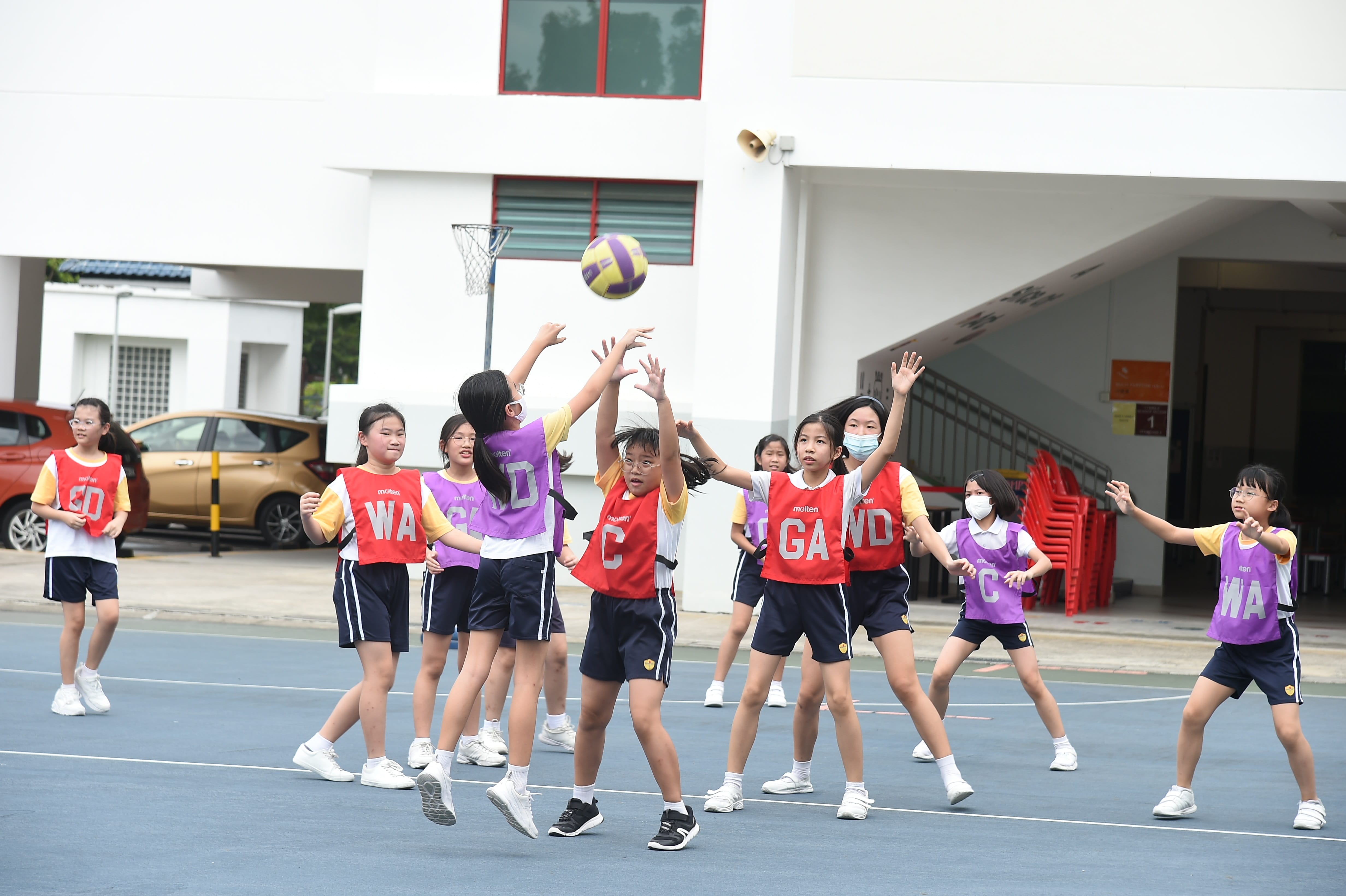 Girls in red and purple bibs play netball on an outdoor court, reaching for a yellow and purple ball.