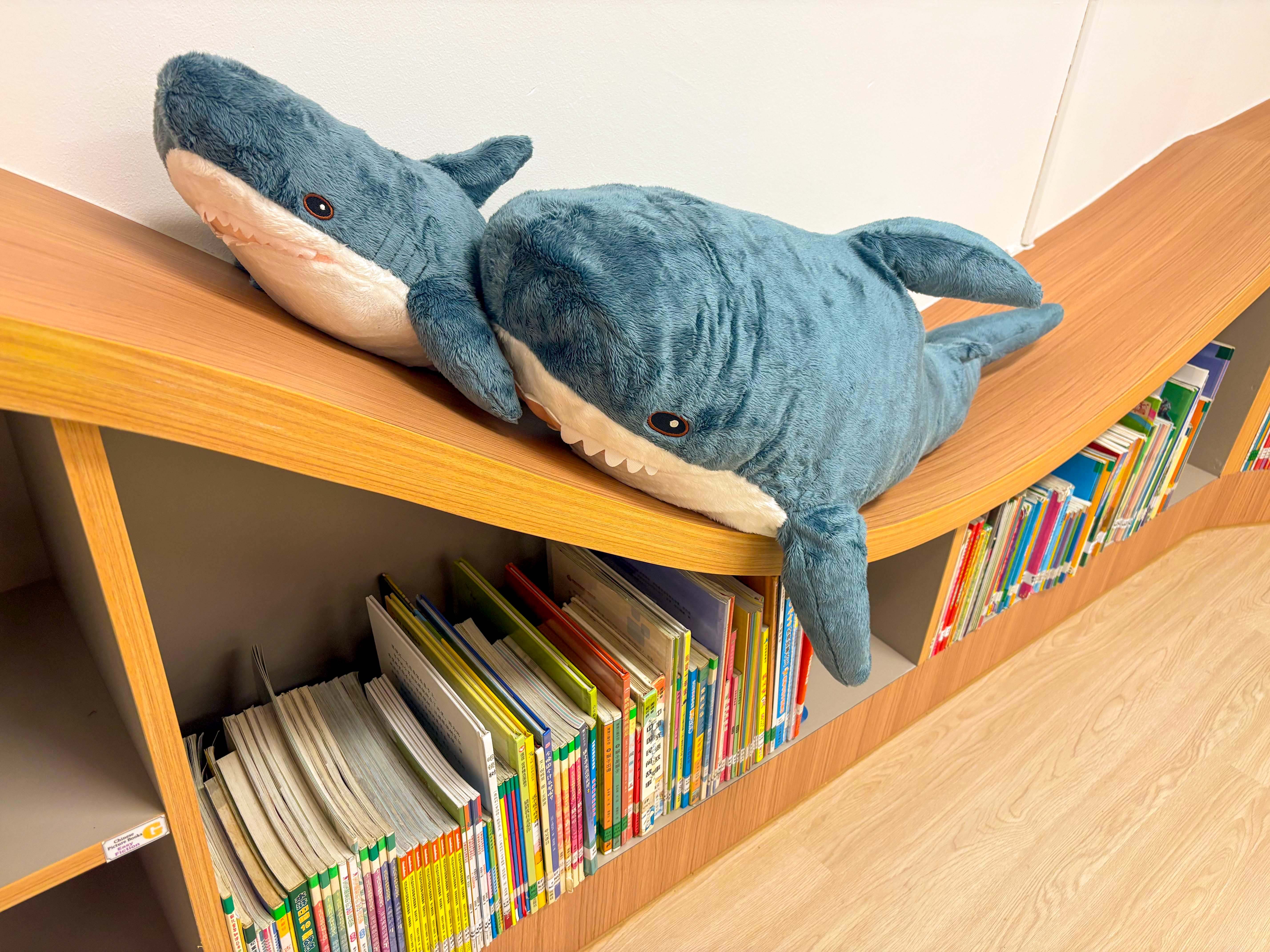 shark plushies lying around in the school library