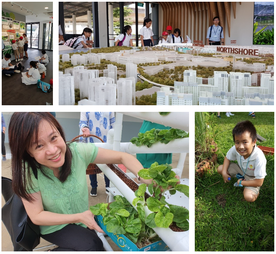 Children and adults at a Northshore urban model exhibit, a hydroponic garden, and outdoor planting activity.