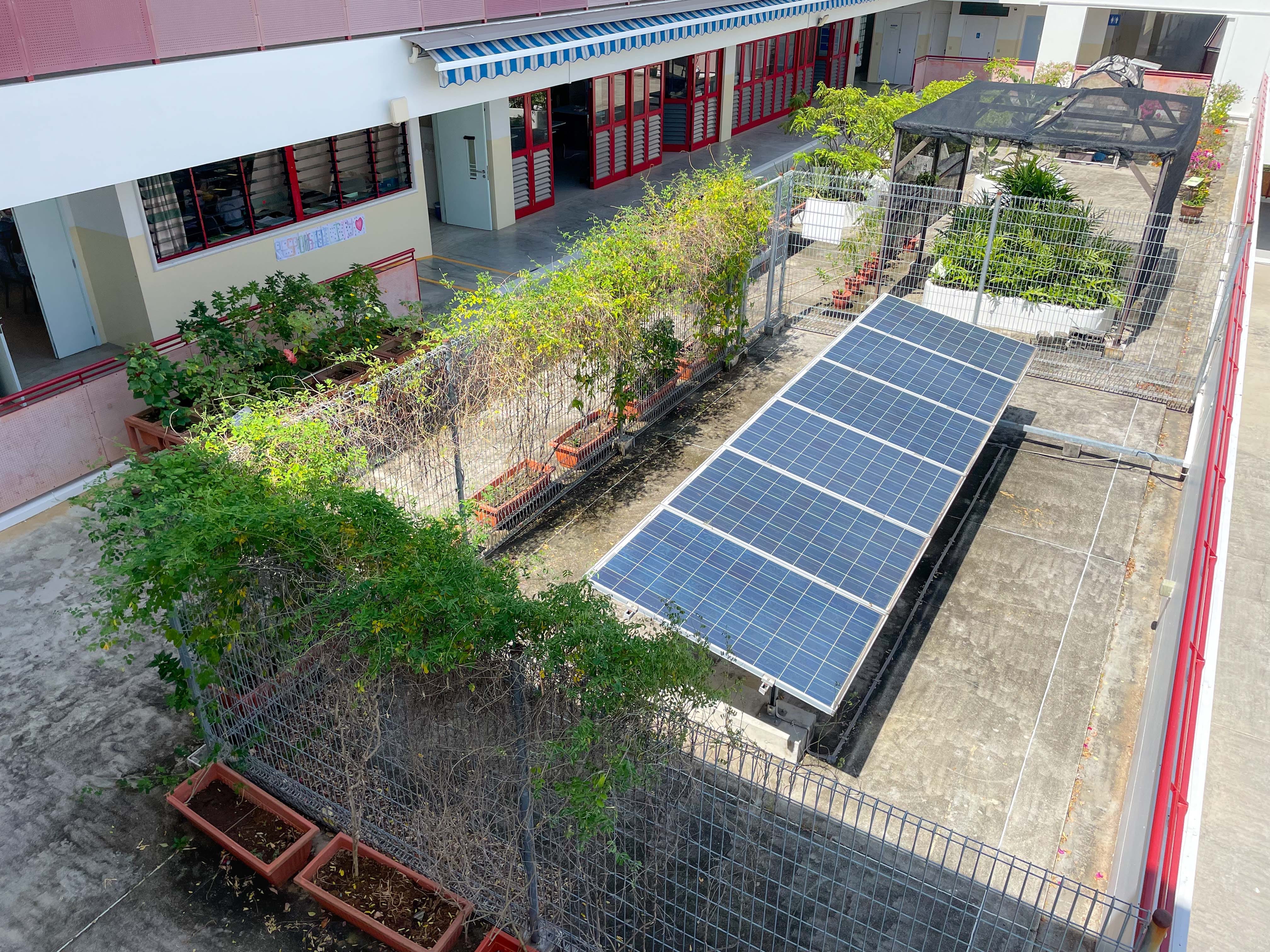 Rooftop courtyard with solar panels, fenced garden beds with green plants, and a red-trimmed building in the background.